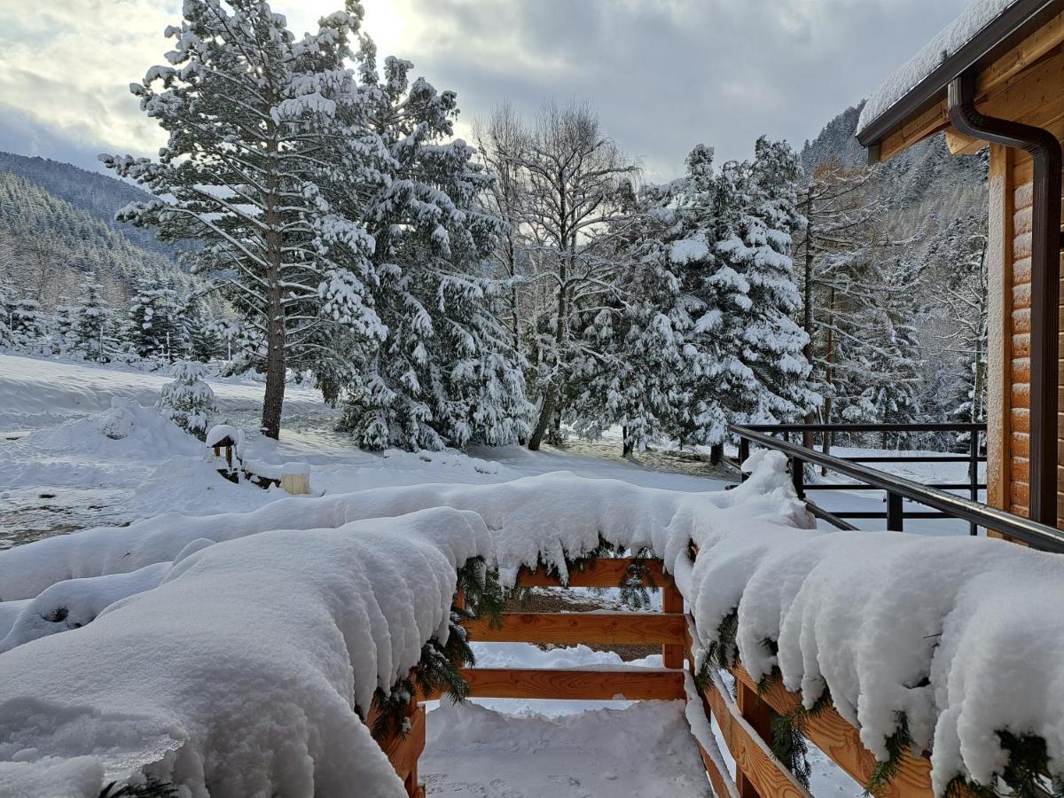 Le Refuge Du Bucheron Chalet Mittlach